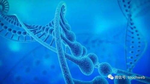 加立生物沖刺港股 9個月虧損4433萬，林帝邦為大股東，生物技術(shù)開發(fā)成焦點(diǎn)